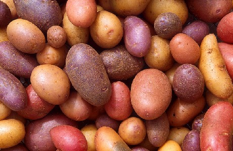 Potato Varieties